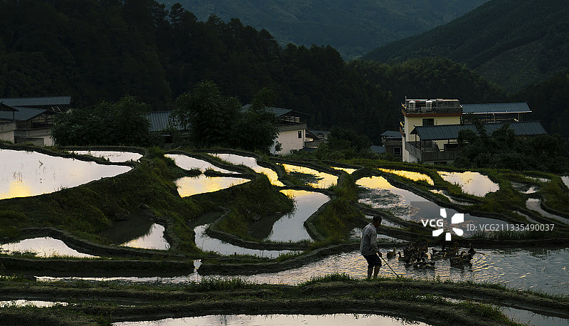 连山县欧家梯田图片素材