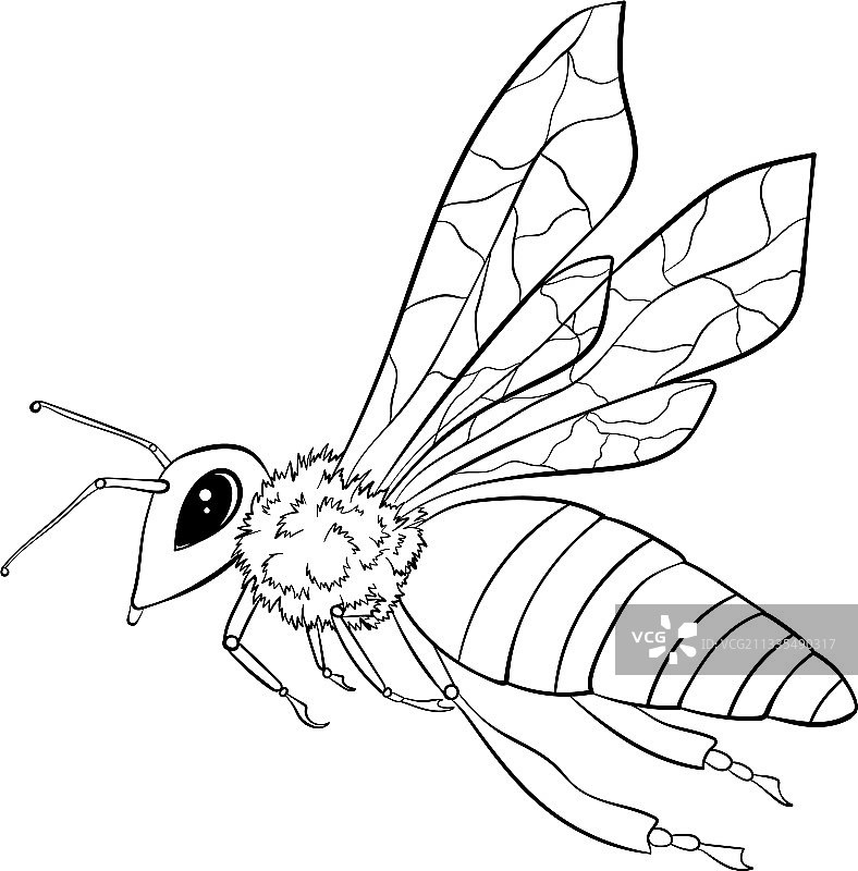 蜜蜂线条艺术风格图片素材