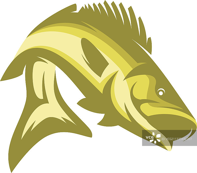 钓鲈鱼模板图片素材