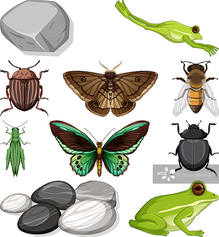 具有自然元素的各种昆虫图片素材
