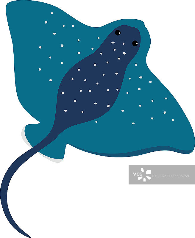 水下漂浮的海洋动物魟鱼图片素材