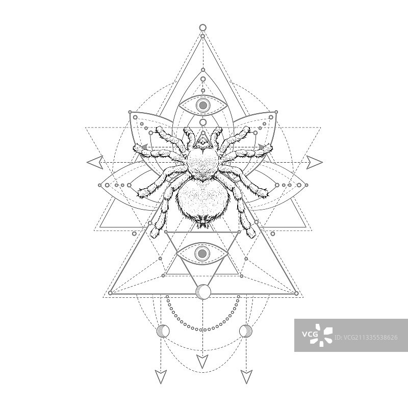 手绘蜘蛛和神圣几何图案图片素材