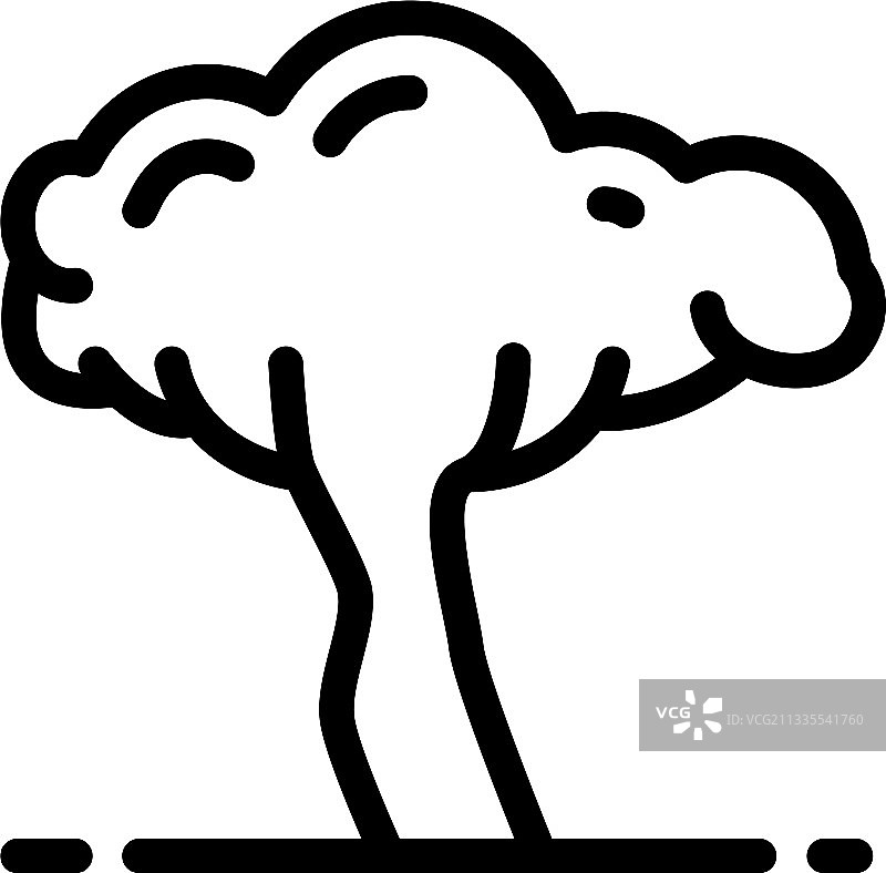 非洲漆树图片素材