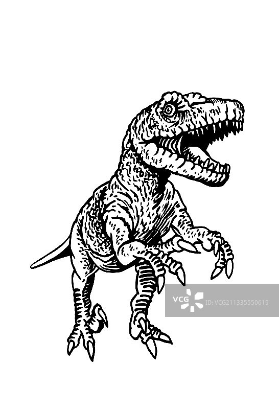 白色背景上手绘的猛禽图案图片素材