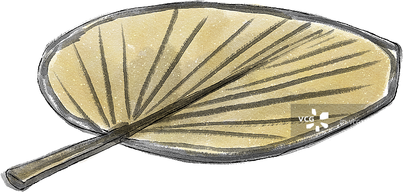 蒲扇元素图片素材