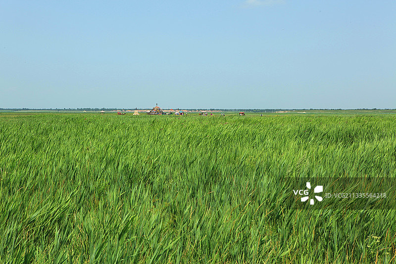 中国河北张家口张北县中都草原风景区风光图片素材