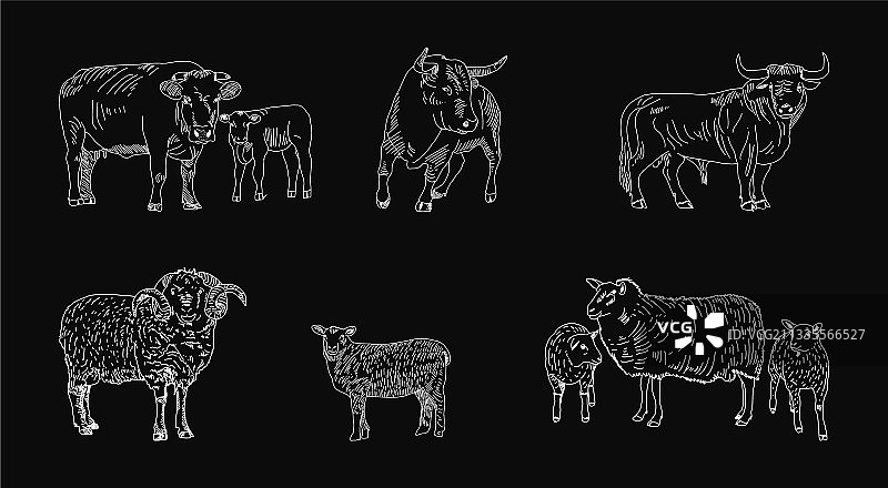 肉铺黑板牛肉羊肉切割图图片素材