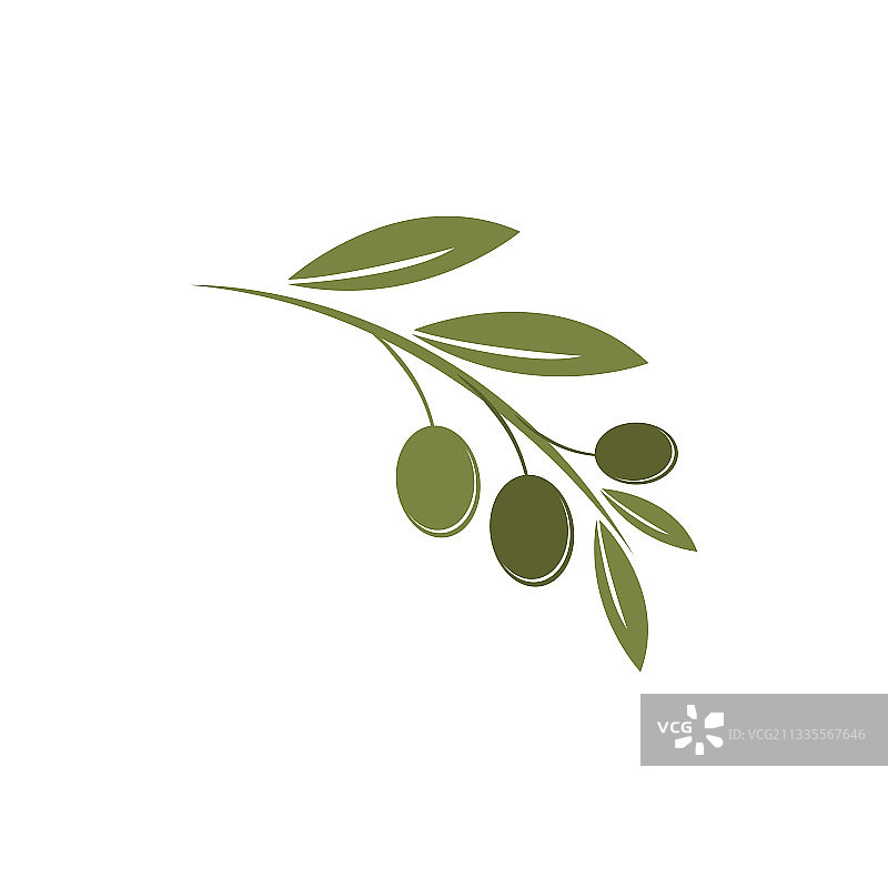 橄榄标志模板图标设计图片素材
