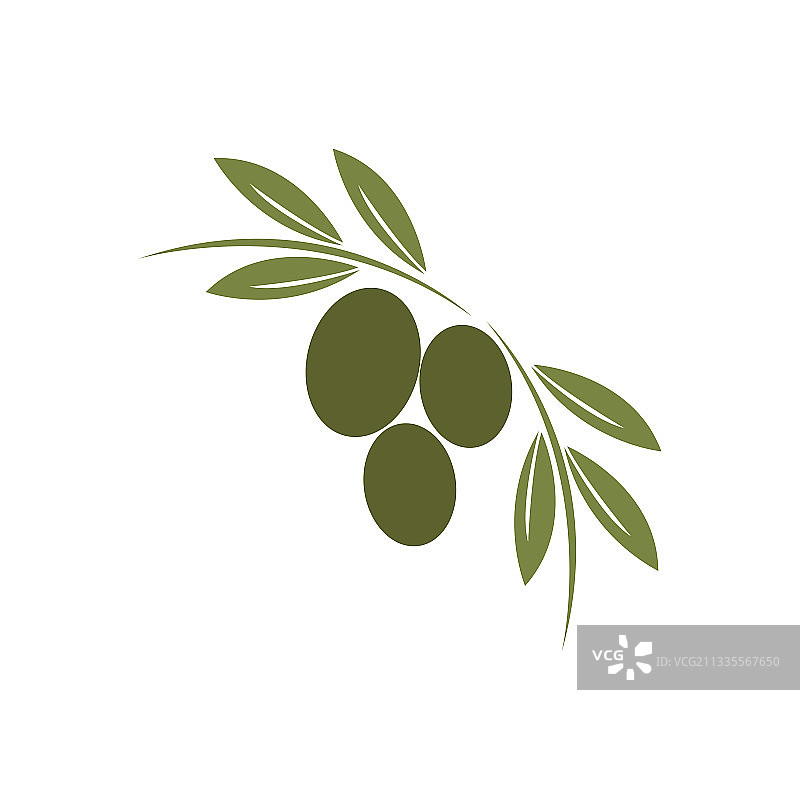 橄榄标志模板图标设计图片素材
