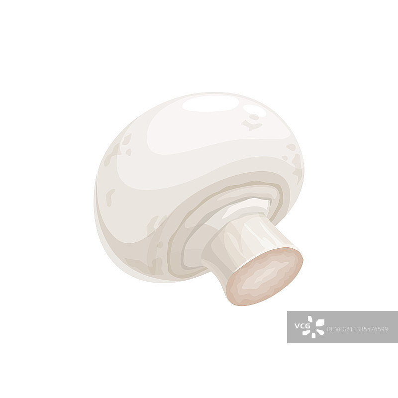 小白蘑菇香槟食用菌3D图标图片素材