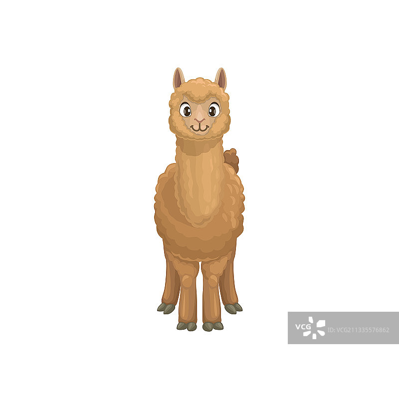 棕色美洲驼羊驼卡通动物图标图片素材