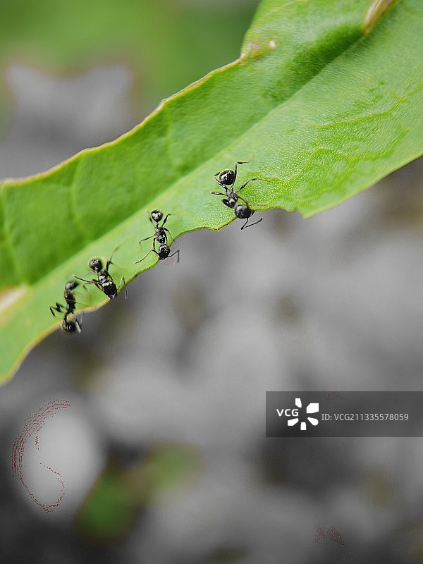 下面有什么？图片素材