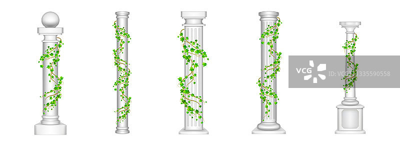 带有攀缘植物的常春藤柱古董柱图片素材