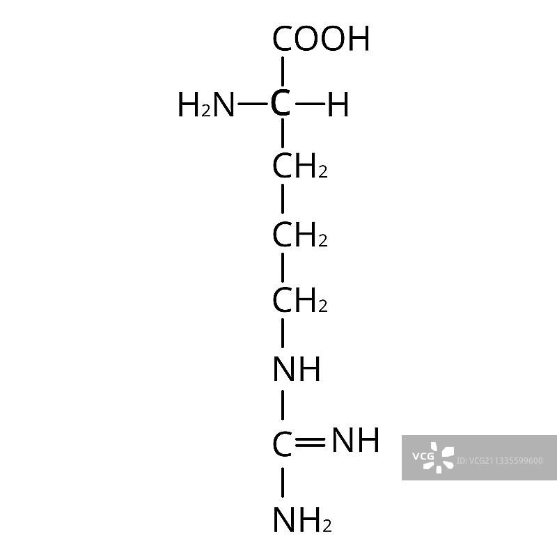 精氨酸氨基酸化学分子式图片素材