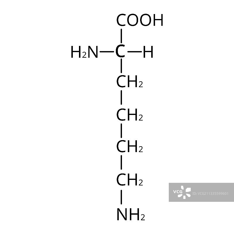赖氨酸化学分子式图片素材