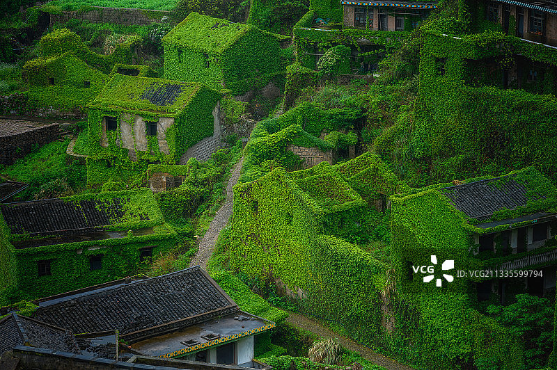 绿色的村落图片素材