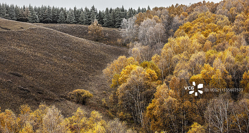 坝上秋色图片素材