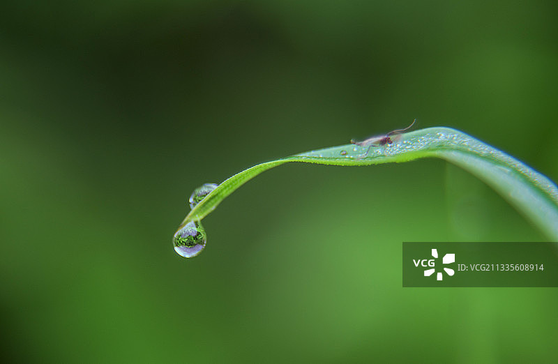 一水一世界！图片素材
