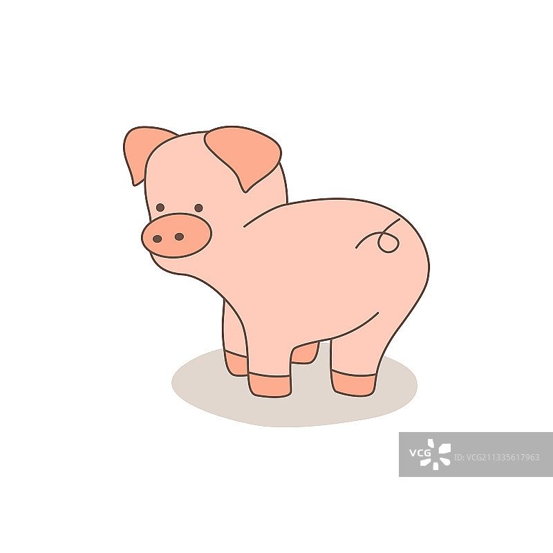 白色背景上孤立的可爱猪图片素材