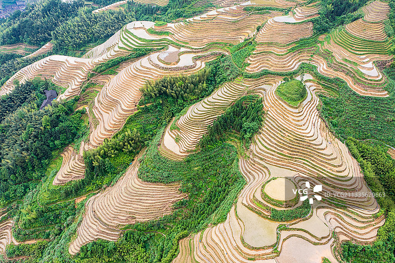 航拍桂林龙胜金坑梯田图片素材