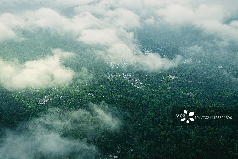 迷雾森林--杭州满陇桂雨航拍图片素材