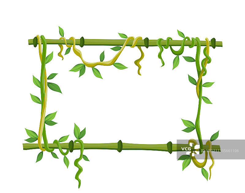 丛林植物枝条热带藤本框架图片素材