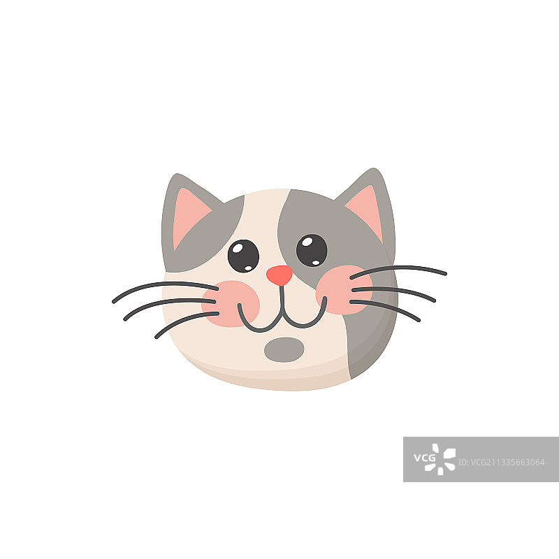 灰色好奇的猫头小猫面部特写图片素材