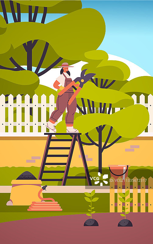 女园丁照料植物并修剪图片素材