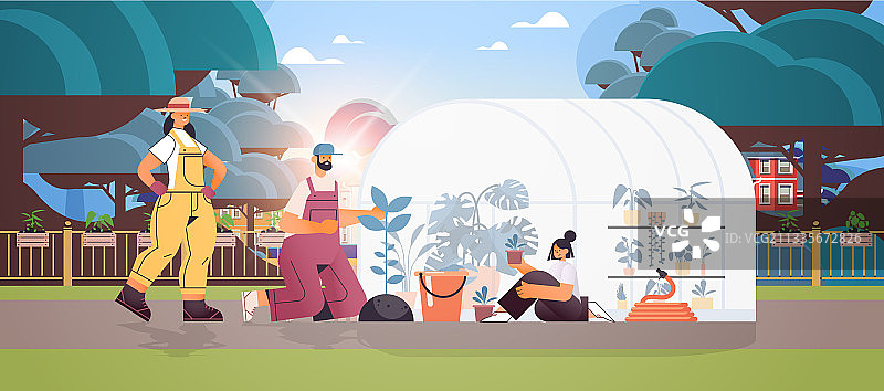 父母和女儿一起照料植物图片素材