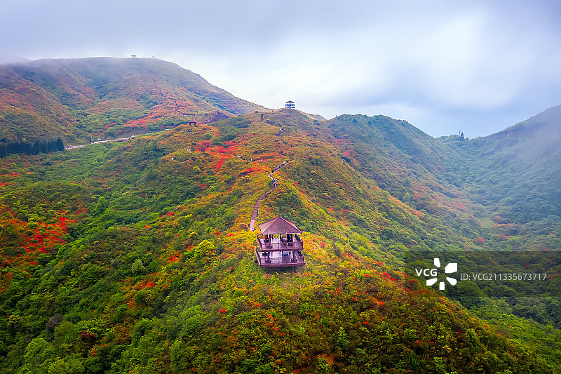 杜鹃花海夕阳阁图片素材