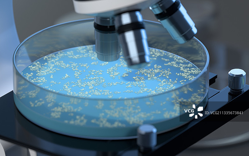 培养皿内的细菌 3D渲染图片素材