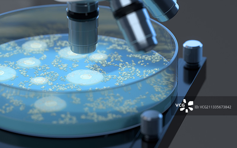 培养皿内的细菌 3D渲染图片素材