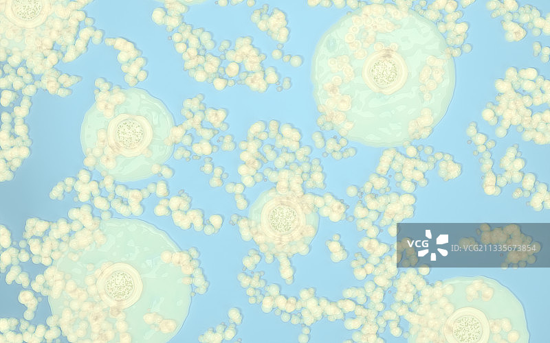 繁殖的细菌 3D渲染图片素材