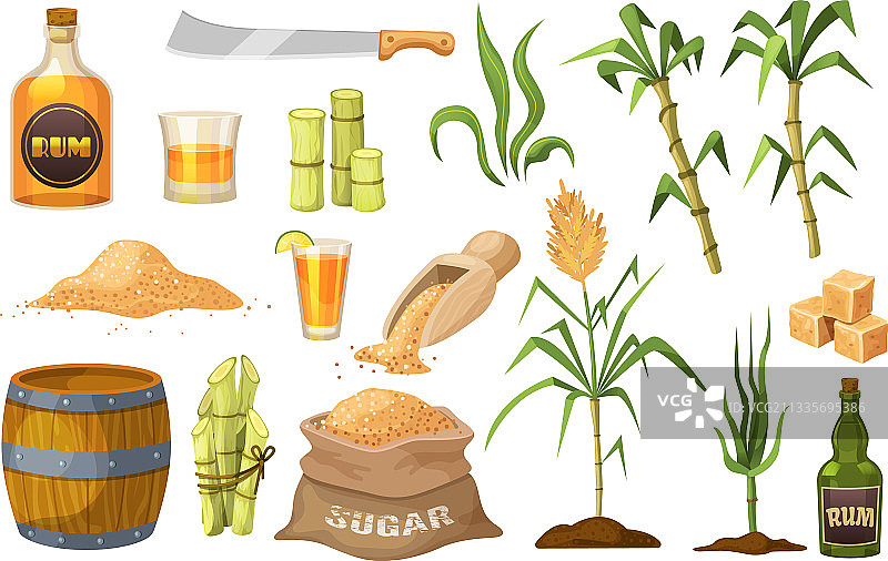 带茎叶的新鲜甘蔗图片素材