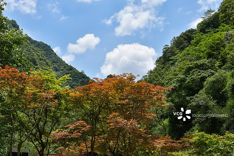 万盛黑山谷景区图片素材