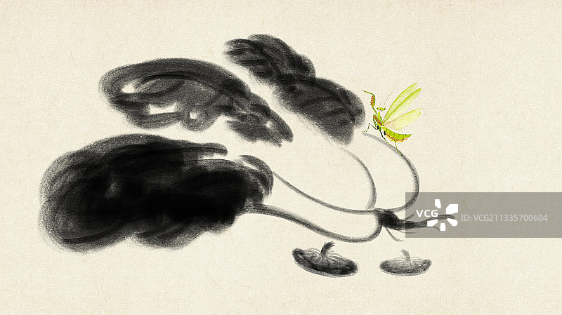 白菜国画图片素材