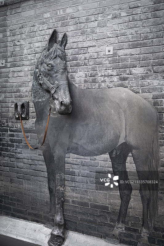 中国四川成都宽窄巷子图片素材