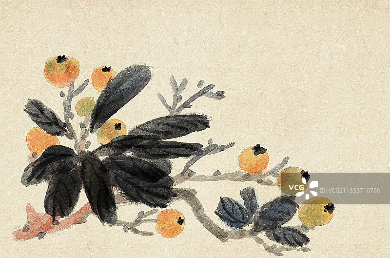 国画枇杷图片素材