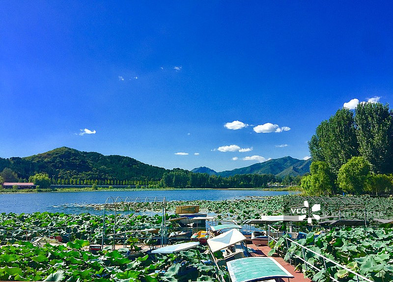 红螺湖鸟岛景区图片素材