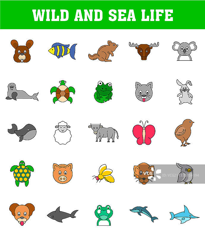 白色背景上的野生海洋动物组合图片素材