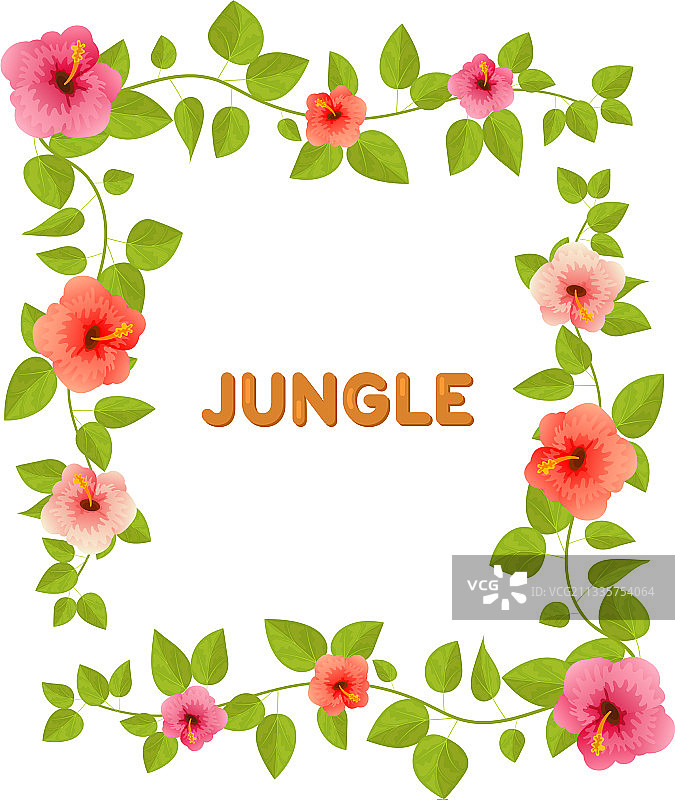 热带夏季丛林植物背景图片素材