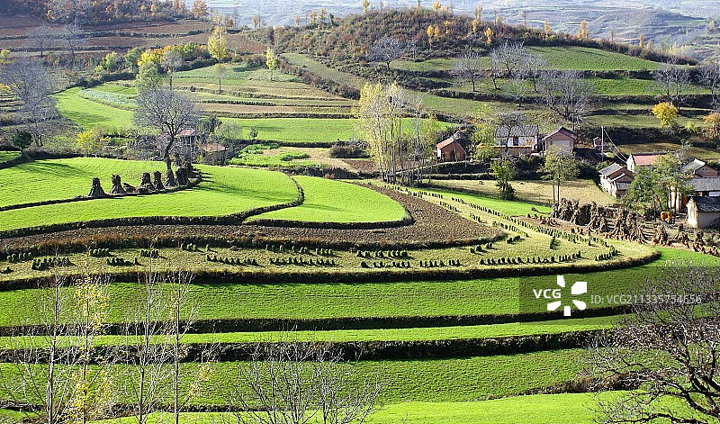 秋韵  6图片素材