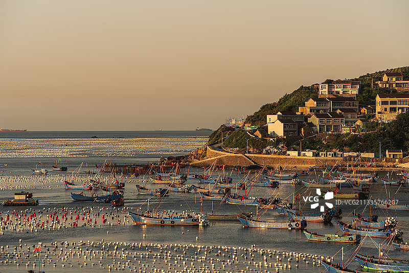 浙江 舟山 枸杞岛风光--夕阳下的海上牧场图片素材