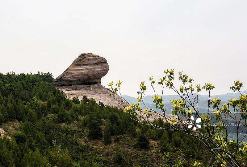 蛤蟆石 承德图片素材