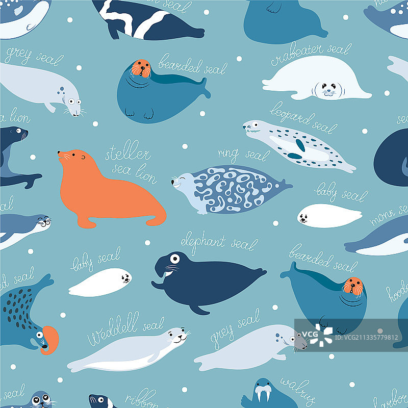 可爱的海豹或所有鳍足动物扁平图案图片素材