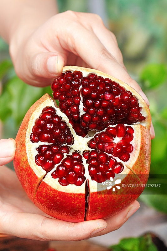 手上拿着软籽石榴图片素材