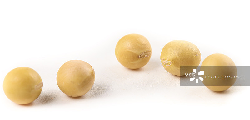 白底上的黄豆粒图片素材