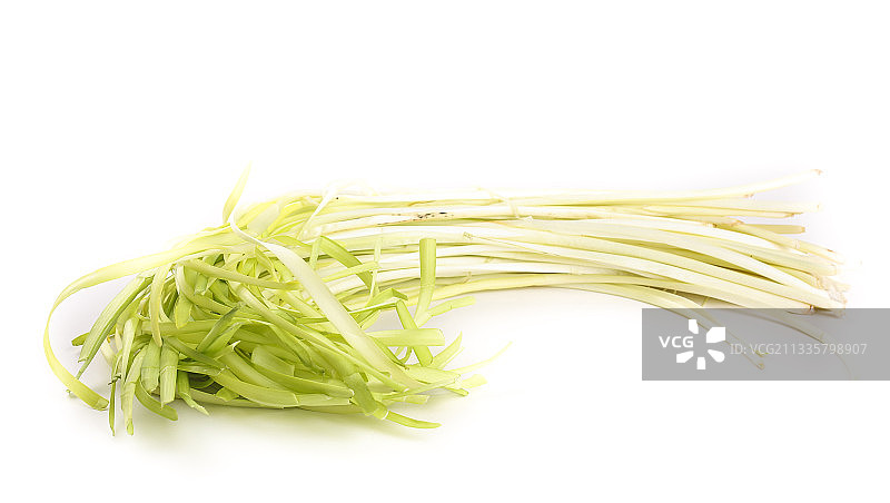 白底上放着新鲜韭黄图片素材