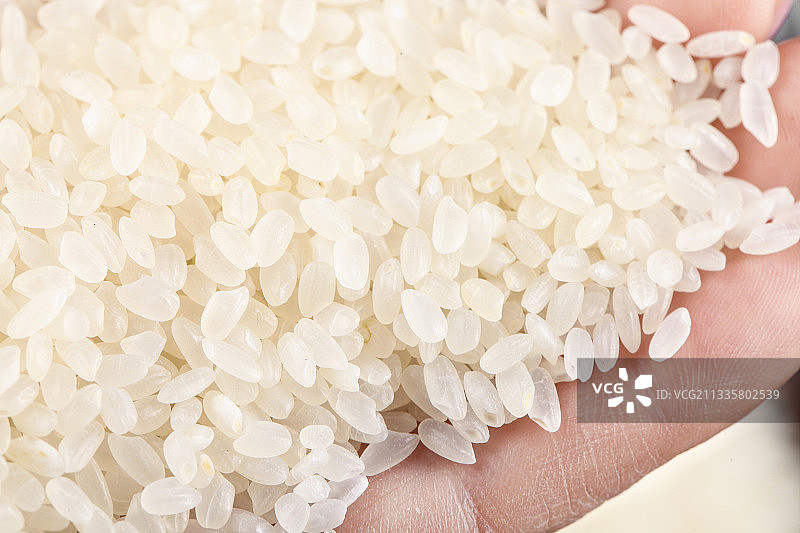 手里捧着香米图片素材