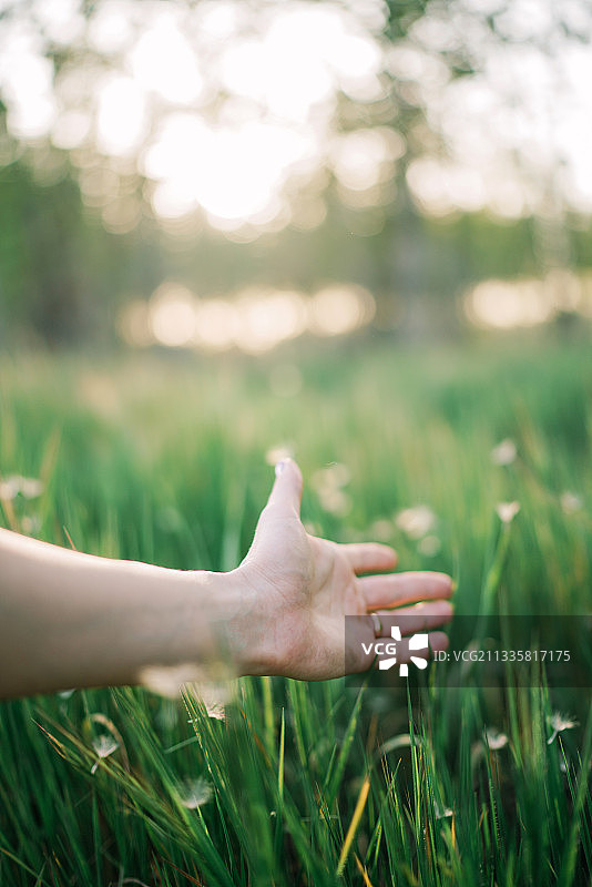 在西班牙，女子手放在草地上的局部照图片素材